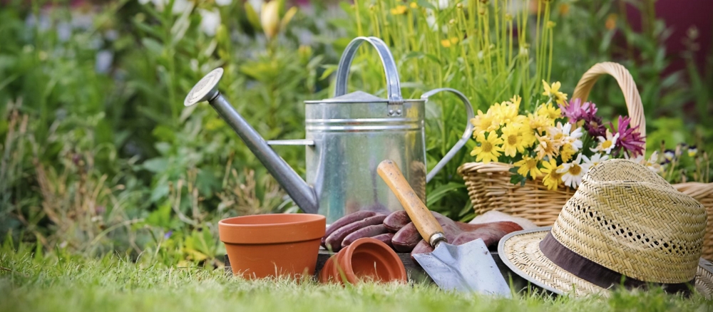 Escluse dal Bonus giardini la manutenzione ordinaria 